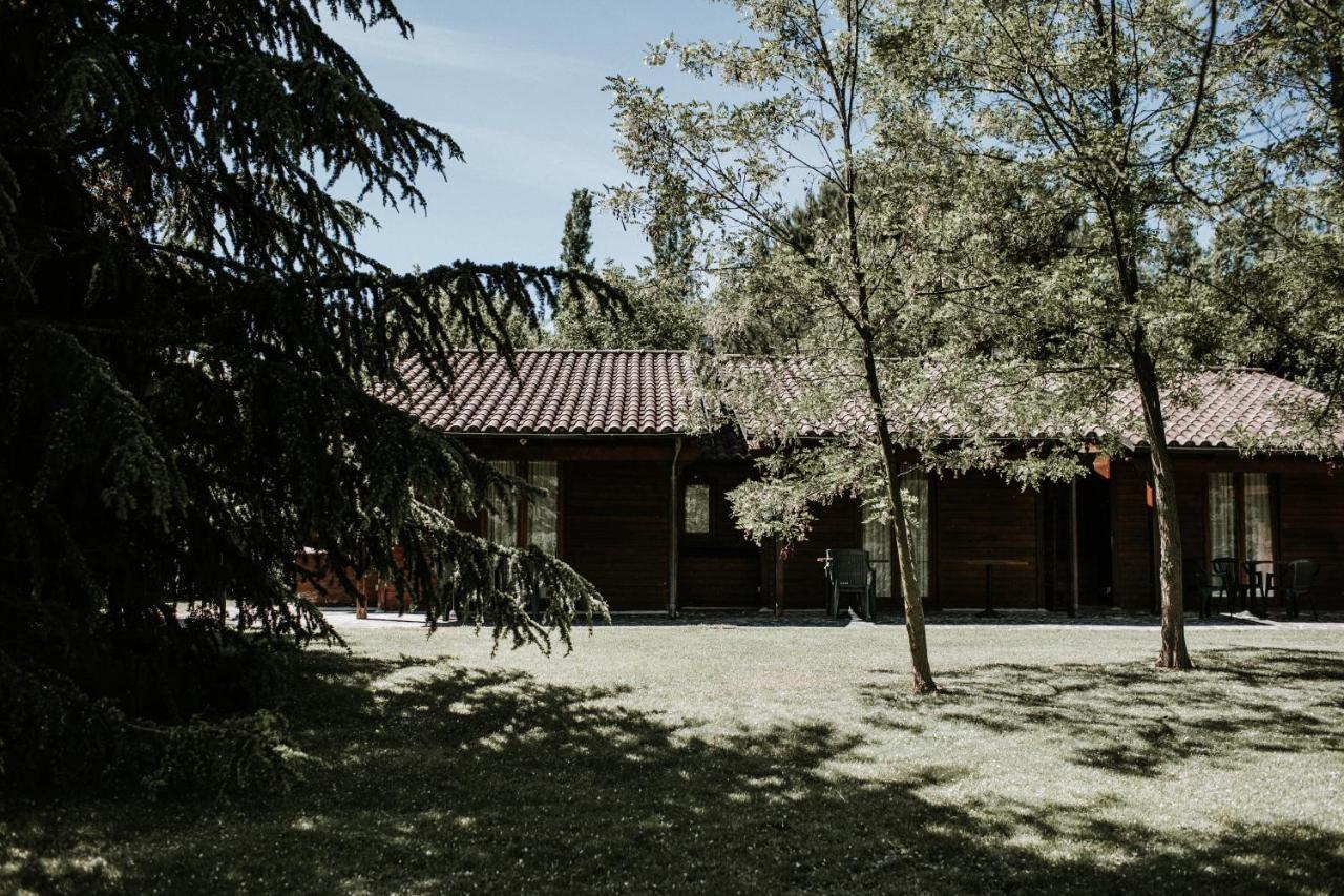לינה וארוחת בוקר Basciano L'Anfora Country Club מראה חיצוני תמונה